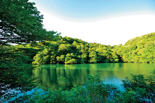 【十二湖散策コース】落口の池