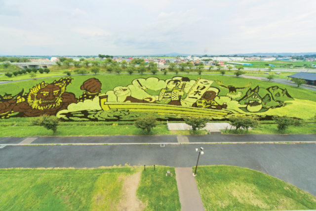 第2田んぼアート「桃太郎」