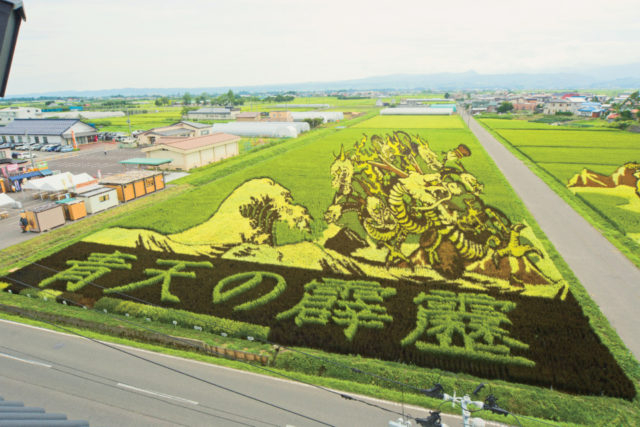 第1田んぼアート「ヤマタノオロチとスサノオノミコト」