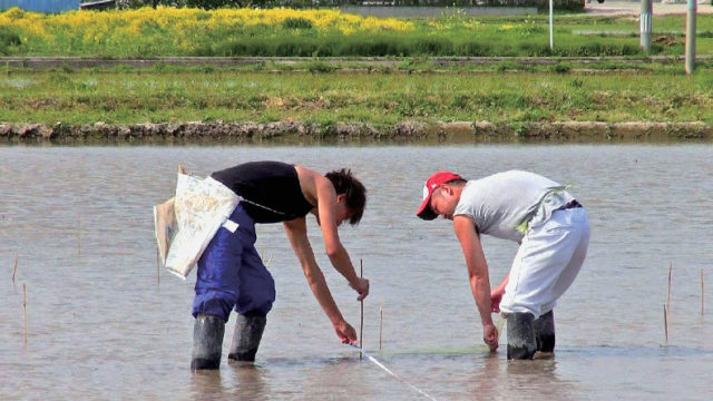 こうやって作られる