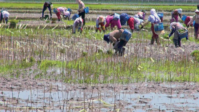 こうやって作られる
