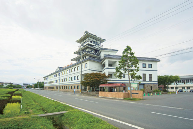 第1田んぼアート 田舎館村展望台