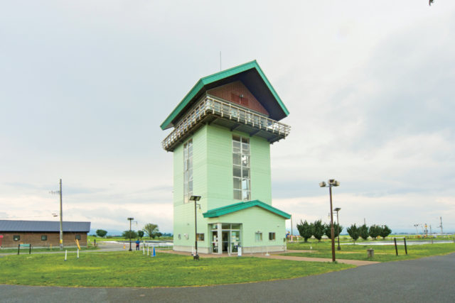 第2田んぼアート 弥生の里展望所