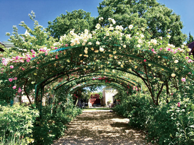 日本シャンソン館