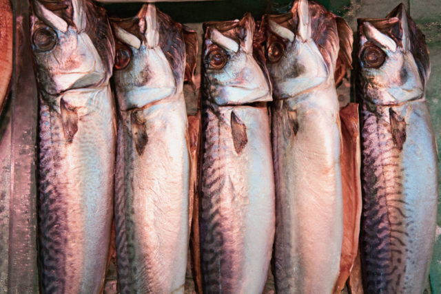 【八食センターのおすすめポイント】新鮮魚介をお買い物