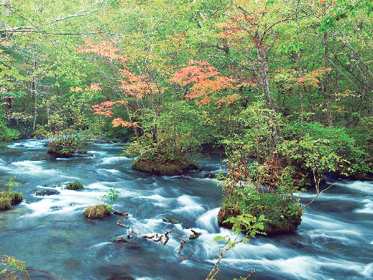 奥入瀬渓流の見どころ① 三乱の流れ