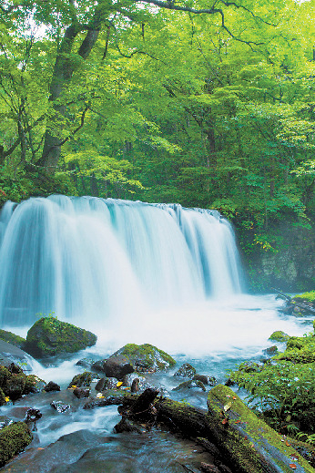 奥入瀬渓流の見どころ④ 銚子大滝