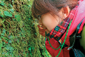 奥入瀬渓流コケさんぽ