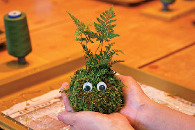 奥入瀬モスボール工房