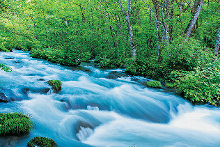 1.新緑&紅葉を狙え!