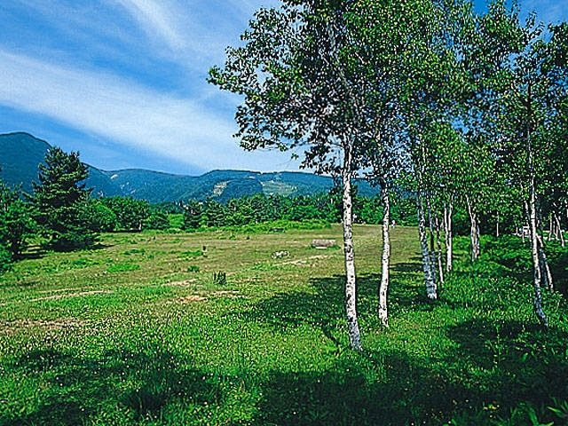 【蔵王エコーライン×ドライブ】蔵王坊平高原