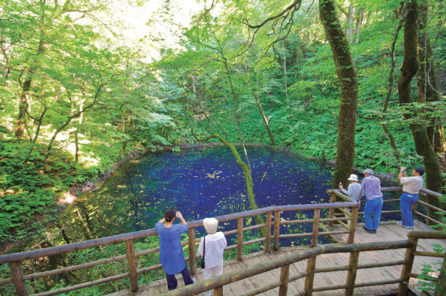 【十二湖散策コース】青池