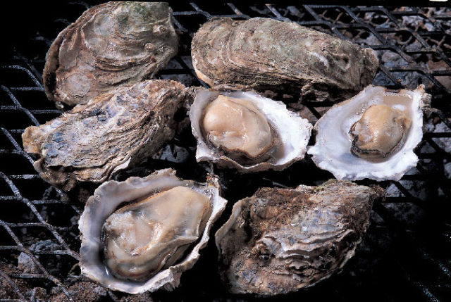 厚岸味覚ターミナル・コンキリエ