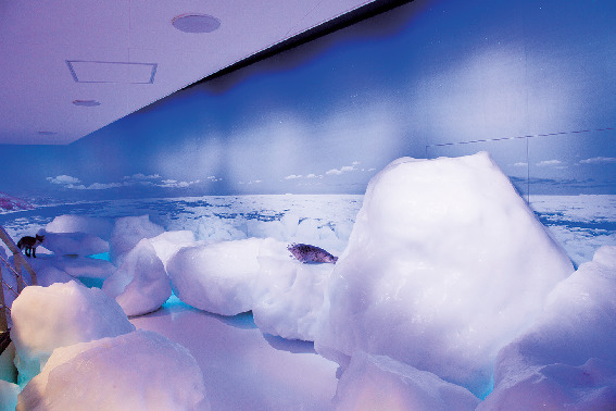オホーツク流氷館