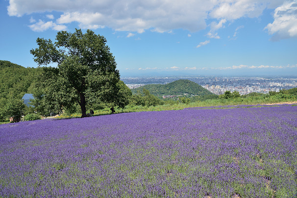 幌見峠展望駐車場「夢工房さとう」
