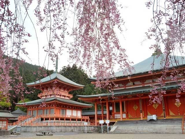 日本仏教の母山と仰がれる寺「延暦寺」