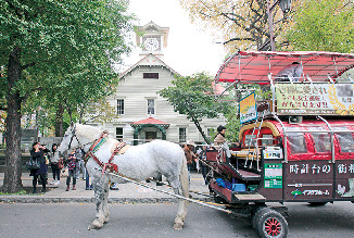 これも楽しい!札幌観光幌馬車に乗ってみよう!