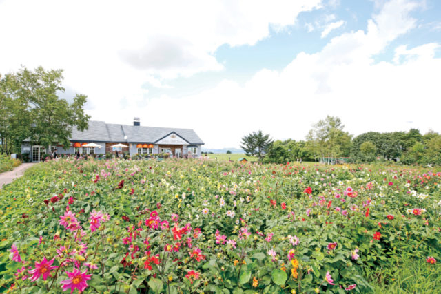 レークヒル・ファーム