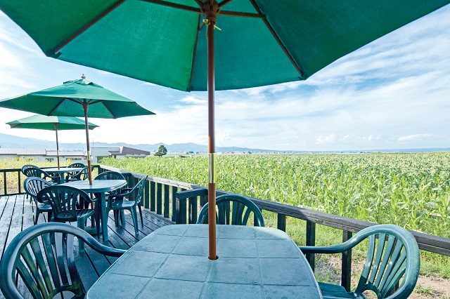 【富良野のレストラン】FURANO BURGER