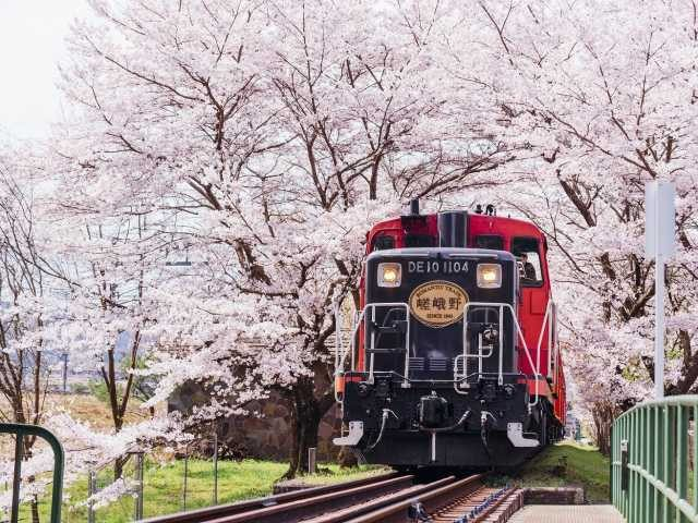 嵐山の絶景を楽しむ「トロッコ列車」