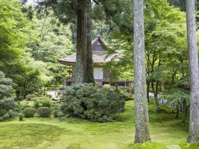 大原観光名所①三千院