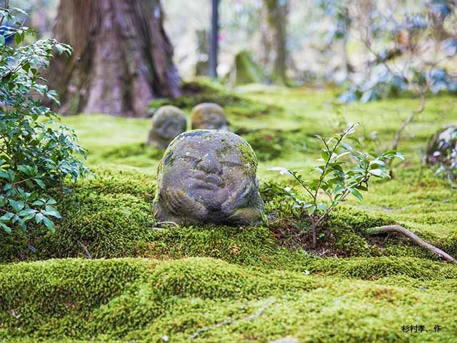 大原観光名所①三千院