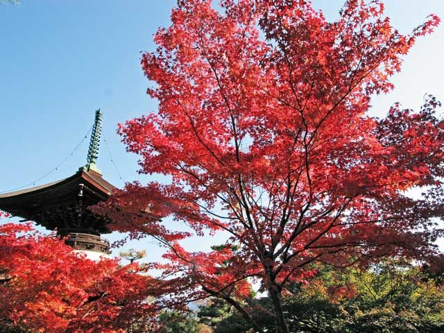 嵐山でおすすめの観光スポット 常寂光寺