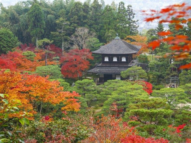 銀閣寺(慈照寺)の参拝コースと見どころ