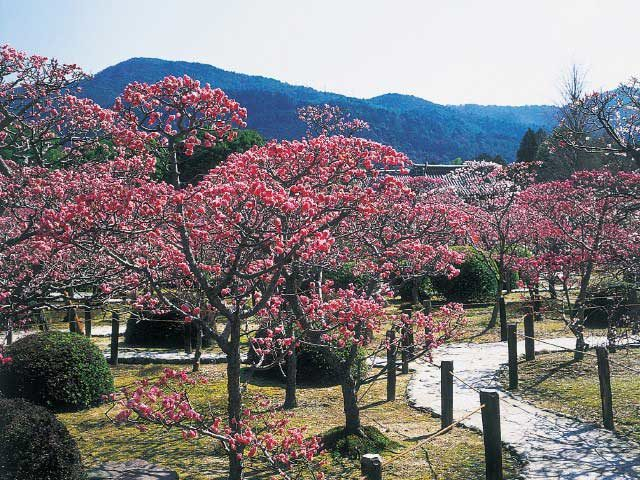 2.隨心院