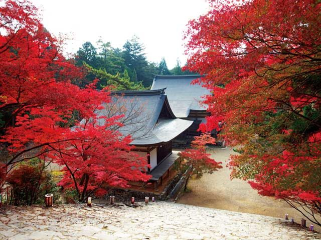 京都の西へひと足のばして観光