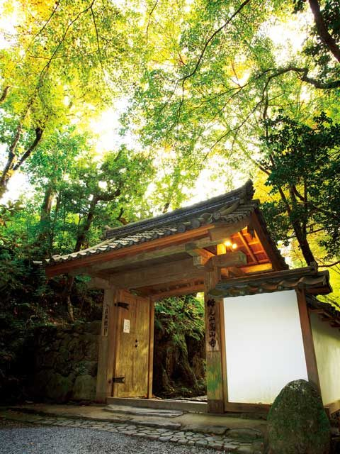 【京都・高雄×観光】③髙山寺