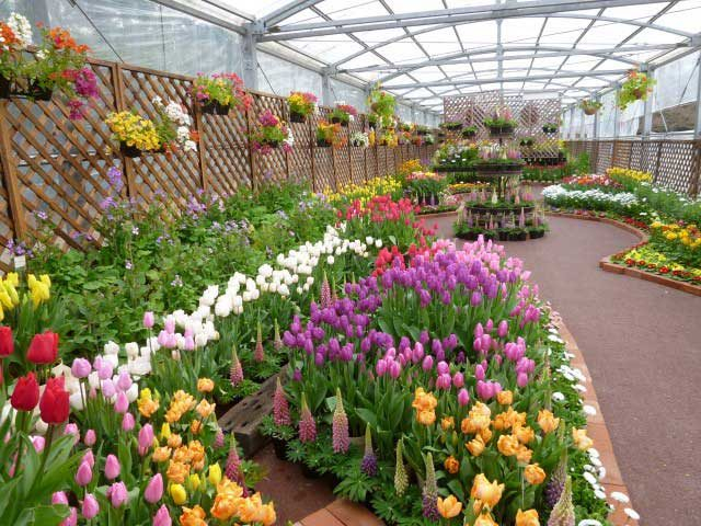 京都府立植物園