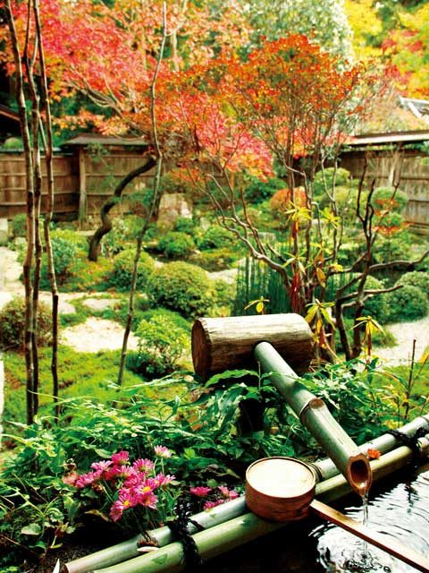 大原観光名所③宝泉院