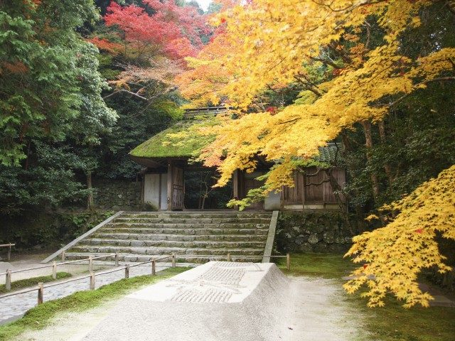 【哲学の道周辺のお寺&神社】法然上人ゆかりの紅葉スポット「法然院」