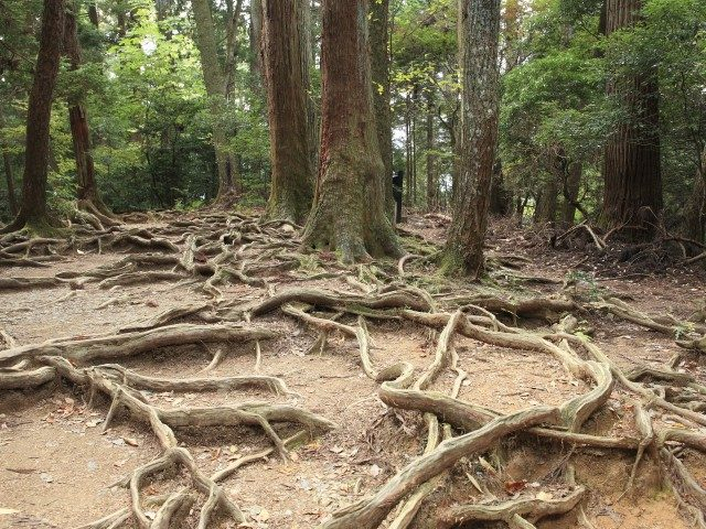 【鞍馬から貴船をめぐるBESTコース】②鞍馬寺