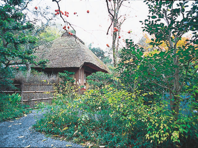 嵐山でおすすめの観光スポット 落柿舎