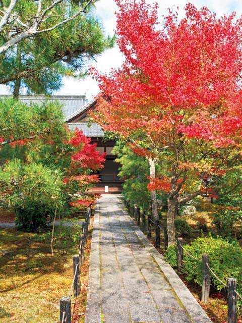 嵐山でおすすめの観光スポット 清凉寺(嵯峨釈迦堂)