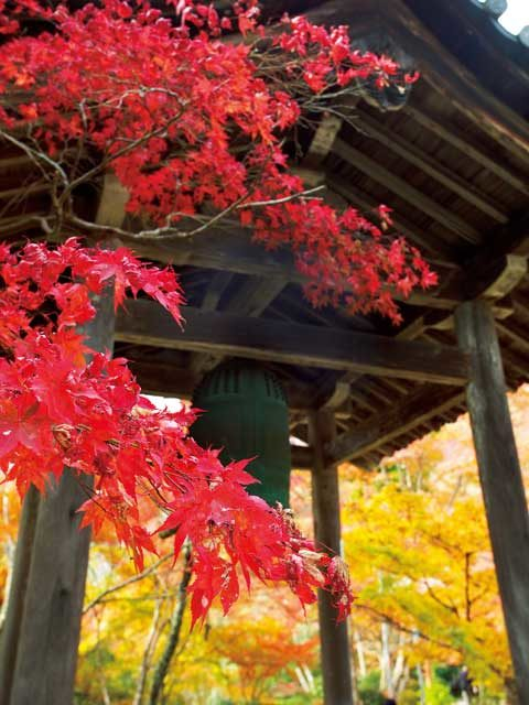 【京都・高雄×観光】②西明寺