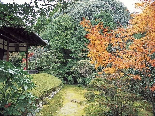 【金閣寺周辺×観光】織田信忠の次男が創建「桂春院」