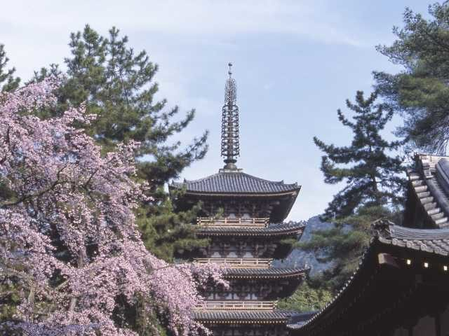 京都【醍醐】おすすめ観光スポットをチェック！