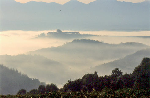 【美瑛の野菜がおいしい理由】昼夜の寒暖差が大きい内陸性気候