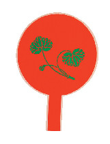 【京都の美人祈願 パワースポット】河合神社