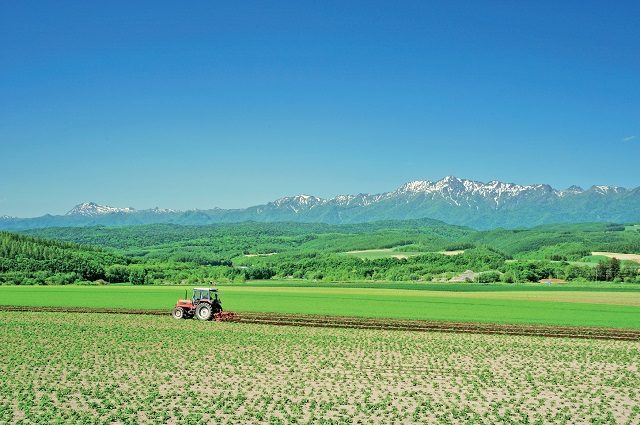富良野の食材がおいしいワケ