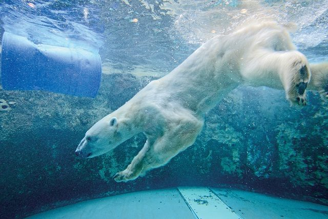 【富良野・美瑛・旭川×エリアのお楽しみ】見どころ