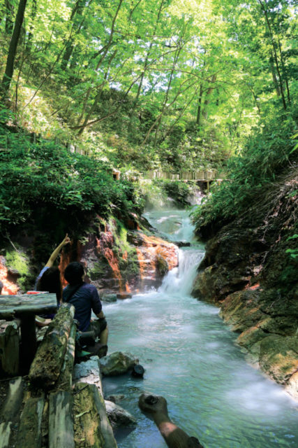 【ニセコ・洞爺・登別×観光】温泉