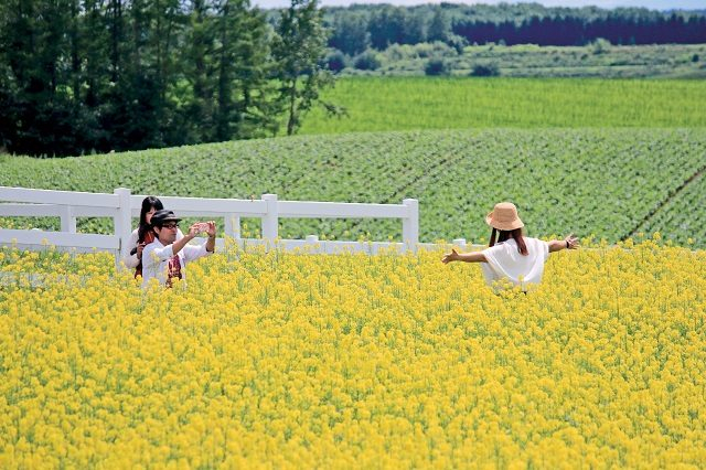 【美瑛の丘×モデルコース】⑨牧草ロールのオブジェの前で記念撮影を「新栄の丘展望公園」