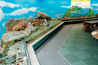 タッチコーナーもあるよ!