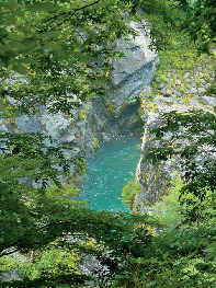 せせらぎロード