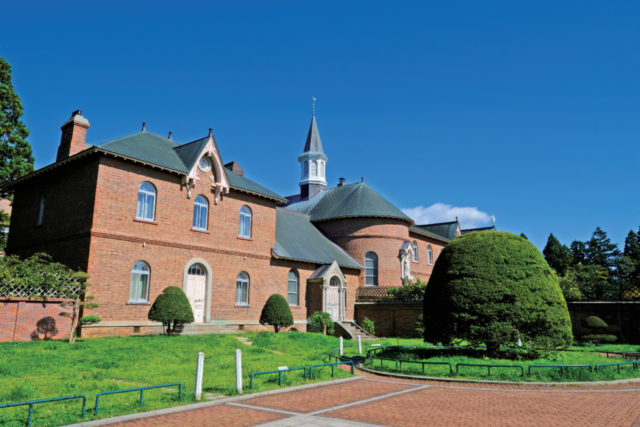 定期観光バスの一例