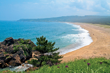 車窓の景色もごちそう!